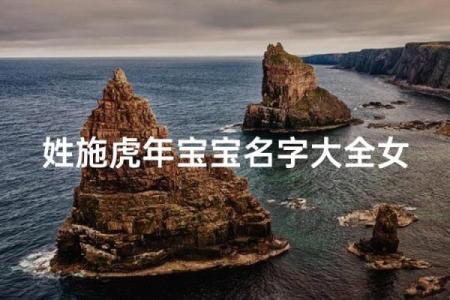 施姓男孩名字大全-施姓男孩起名字大全-施姓名字大全姓名