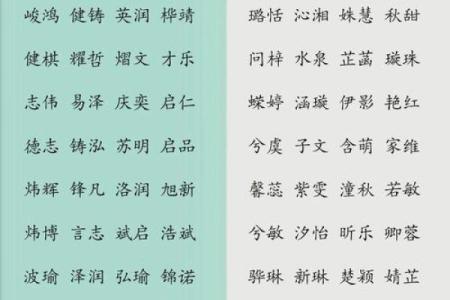 2019年5月10号卯时出生的男孩起名时要注意什么姓名