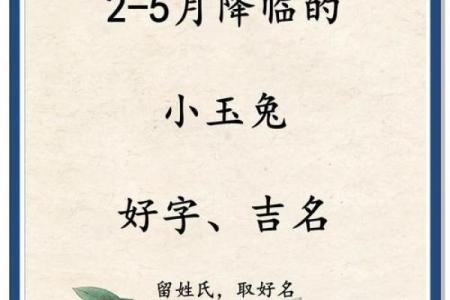 3月份出生的属兔男孩适合取什么名字姓名