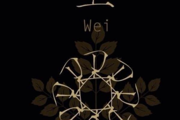卫姓女孩名字大全-卫姓女孩起名字大全-卫姓名字大全姓名