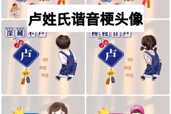 卢姓女孩名字大全-卢姓女孩起名字大全-卢姓名字大全姓名
