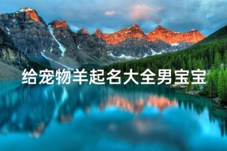 晚上十二点出生的属羊男孩如何起名，宜用什么字姓名