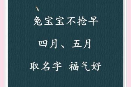 4月份出生的属兔女孩起什么名字最好姓名