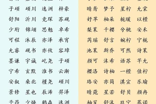 双胞胎宝宝起名注意7个事项和三个准则-姓名学-华易网姓名