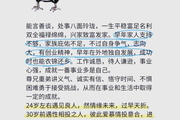 上午11点出生的属鸡男孩适合怎么样取名字姓名