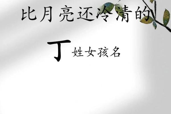 丁姓女孩名字大全-丁姓女孩起名字大全-丁姓名字大全姓名