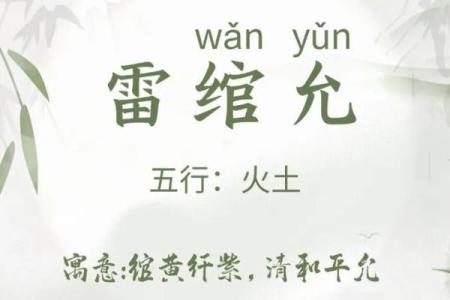 雷姓女孩名字大全-雷姓女孩起名字大全-雷姓名字大全姓名