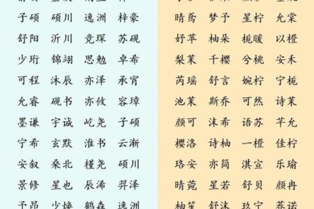 双胞胎宝宝起名注意7个事项和三个准则-姓名学-华易网姓名