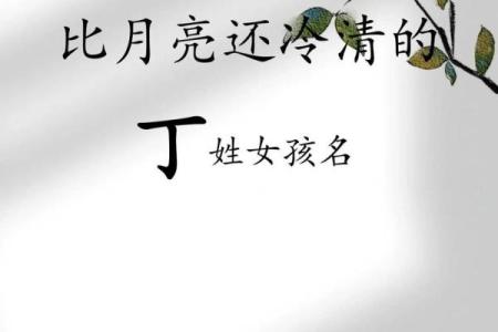 丁姓女孩名字大全-丁姓女孩起名字大全-丁姓名字大全姓名
