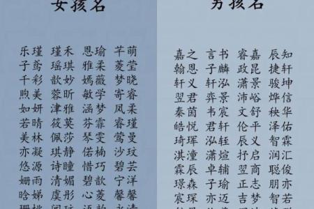 2019年3月19号巳时出生的男孩起名时要注意什么姓名
