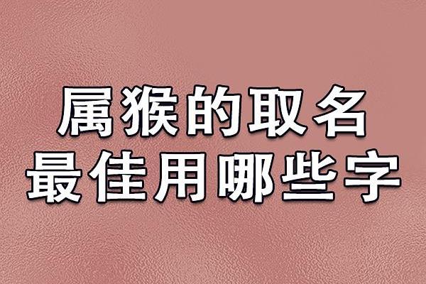 中午十二点出生的属猴男孩如何取名，适合什么字姓名