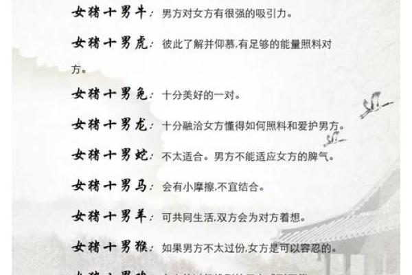 属猪辰时出生的男孩如何取名字，宜用什么字姓名