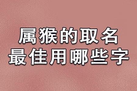 中午十二点出生的属猴男孩如何取名，适合什么字姓名