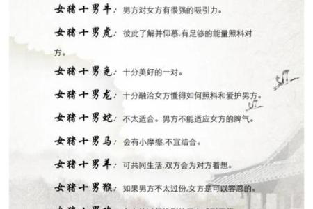 属猪辰时出生的男孩如何取名字，宜用什么字姓名