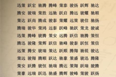 五月份出生的属马男孩该取什么名字姓名