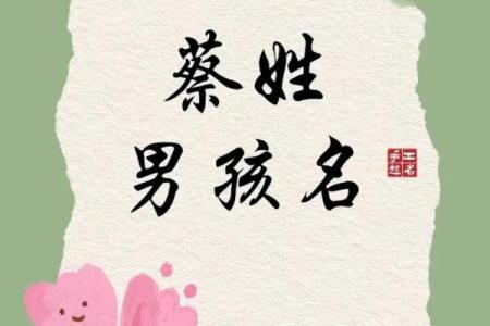 姓蔡的名人-姓名学-华易算命网姓名