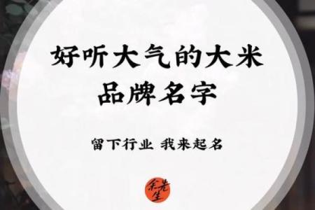 姓米的名人-姓名学-华易算命网姓名