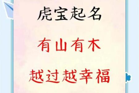 早上6点出生的属虎男孩如何起名，宜用什么字姓名