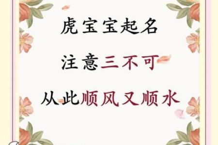 傍晚7点出生的属虎男孩要怎么样起名姓名