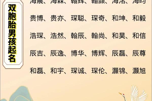 双胞胎男孩和女孩的名字都是有什么样的-姓名学-华易网姓名