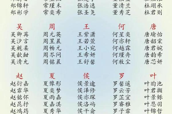 支姓男孩名字大全-支姓男孩起名字大全-支姓名字大全姓名