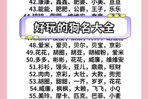 半夜出生的属狗男孩怎么取名，宜用什么字姓名