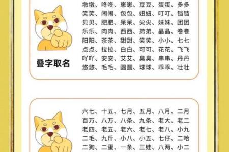 上午出生的属狗男孩如何取名，适合什么字姓名