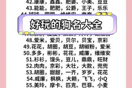 半夜出生的属狗男孩怎么取名，宜用什么字姓名