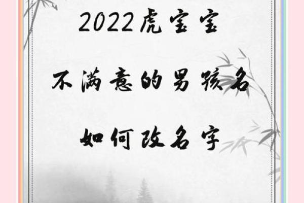 9月份出生的属虎男孩如何取名字姓名