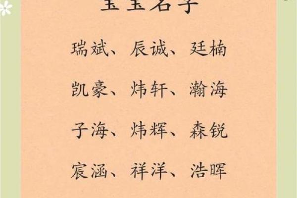 2019年5月29号寅时出生的男孩应该起什么样的名字姓名