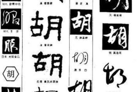 2019年出生的姓胡男孩如何起名，宜用什么字姓名