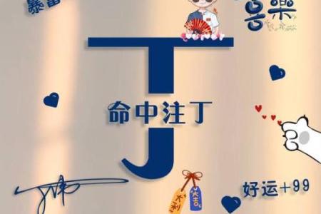 丁姓男孩名字大全-丁姓男孩起名字大全-丁姓名字大全姓名