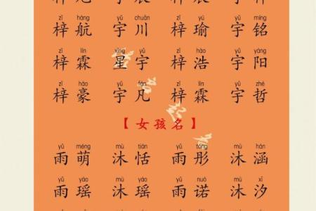 属龙酉时出生的男孩要什么名字好，适合什么字姓名