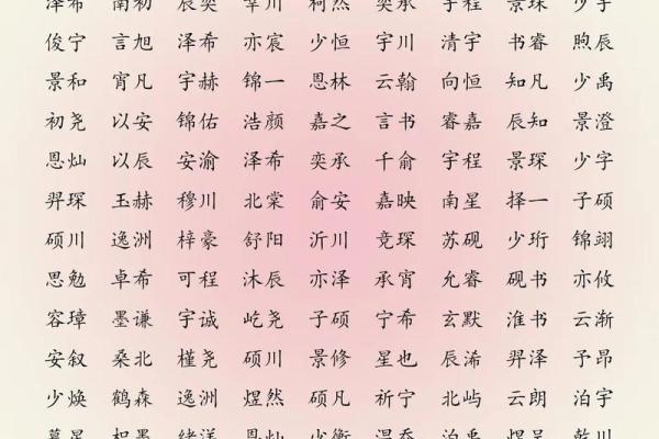 如何给属猪申时出生的男孩取个好名字姓名
