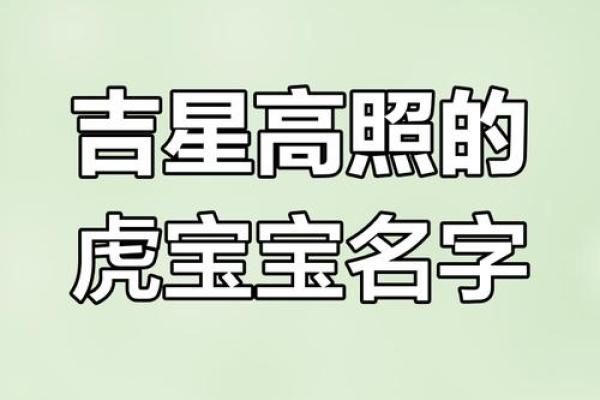 早上7点出生的属虎男孩怎么起名，适合什么字姓名