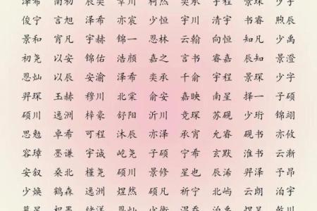 如何给属猪申时出生的男孩取个好名字姓名