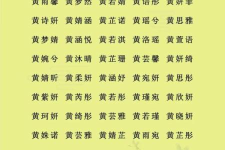 什么字适合给晚上9点出生的属猴男孩起名字姓名