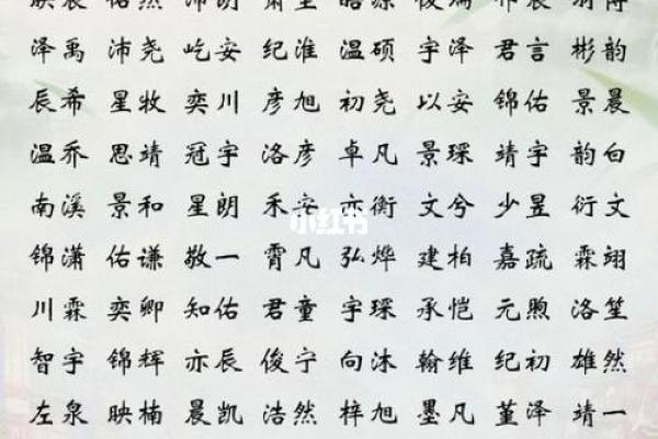 2019年3月9号丑时出生的男孩应该起什么样的名字姓名