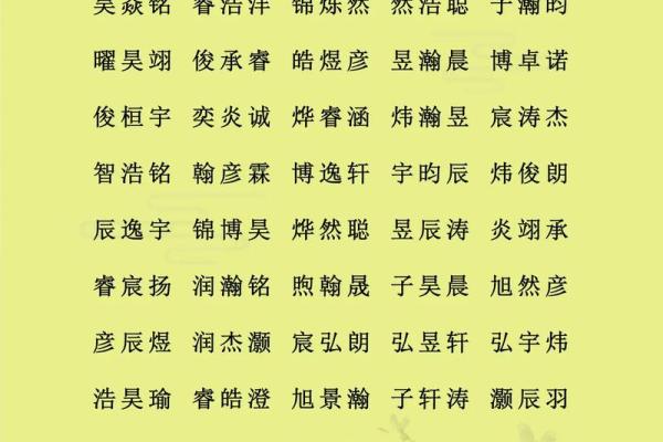 属猪丑时出生的男孩如何起名，适合什么字姓名