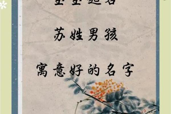 姓苏的名人-名人大全-姓名学-华易算命网姓名
