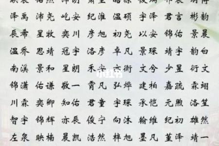2019年3月22号辛时出生的男孩应该起什么样的名字姓名