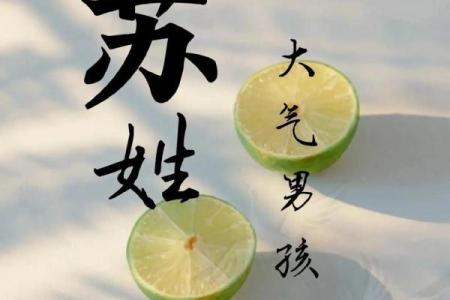 姓苏的名人-名人大全-姓名学-华易算命网姓名