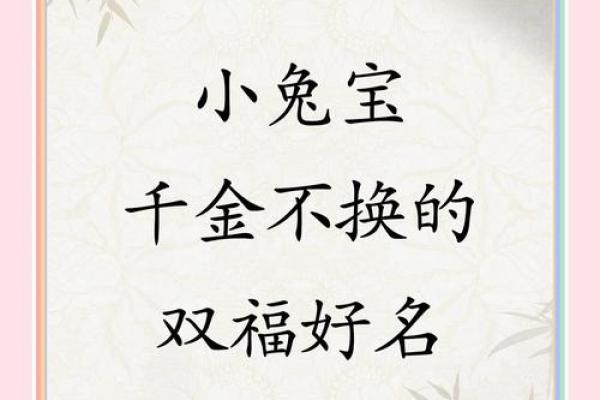 2月份出生的属兔男孩该怎么取名字姓名 2月份出生的属兔男孩该怎么取名字姓名
