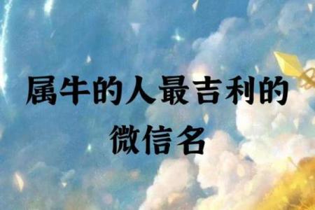 要如何给早上9点出生的属牛男孩取名字姓名