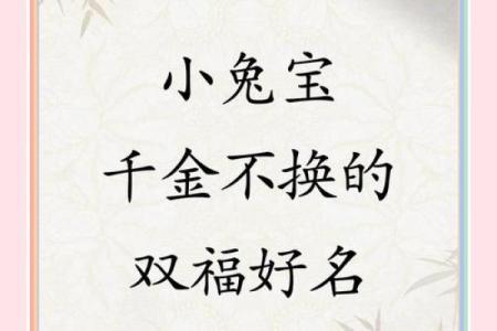 2月份出生的属兔男孩该怎么取名字姓名
