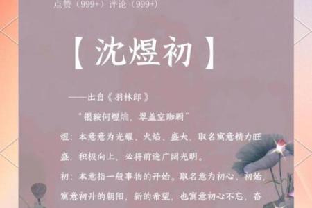 2019年4月13号卯时出生的男孩应该起什么样的名字姓名