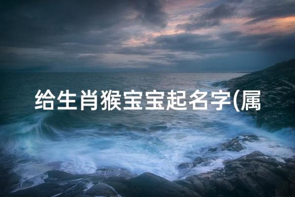 什么字给晚上12点出生的属猴男孩起名合适姓名 什么字给晚上12点出生的属猴男孩起名合适姓名
