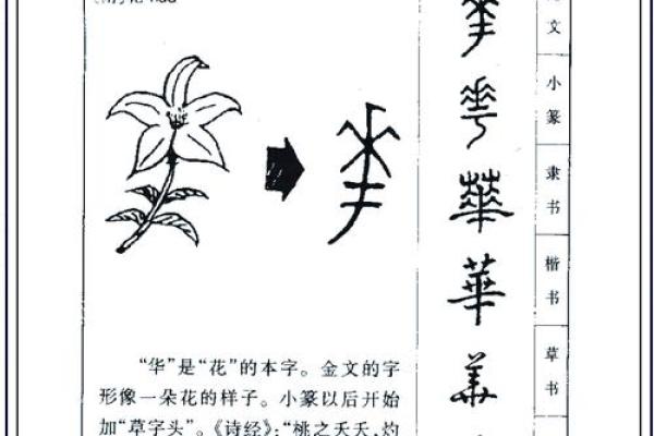 从姓名看你的恋爱运势-姓名学-华易算命网姓名 从姓名看你的恋爱运势-姓名学-华易算命网姓名