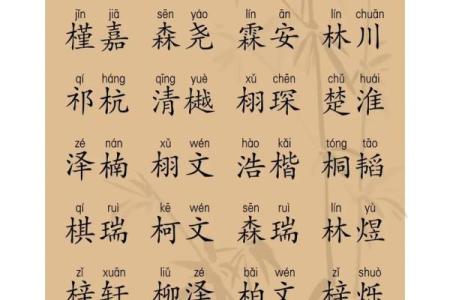 2019年3月16号丑时出生的男孩起名时要注意什么姓名