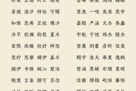 早上8点出生的属兔男孩如何取名姓名